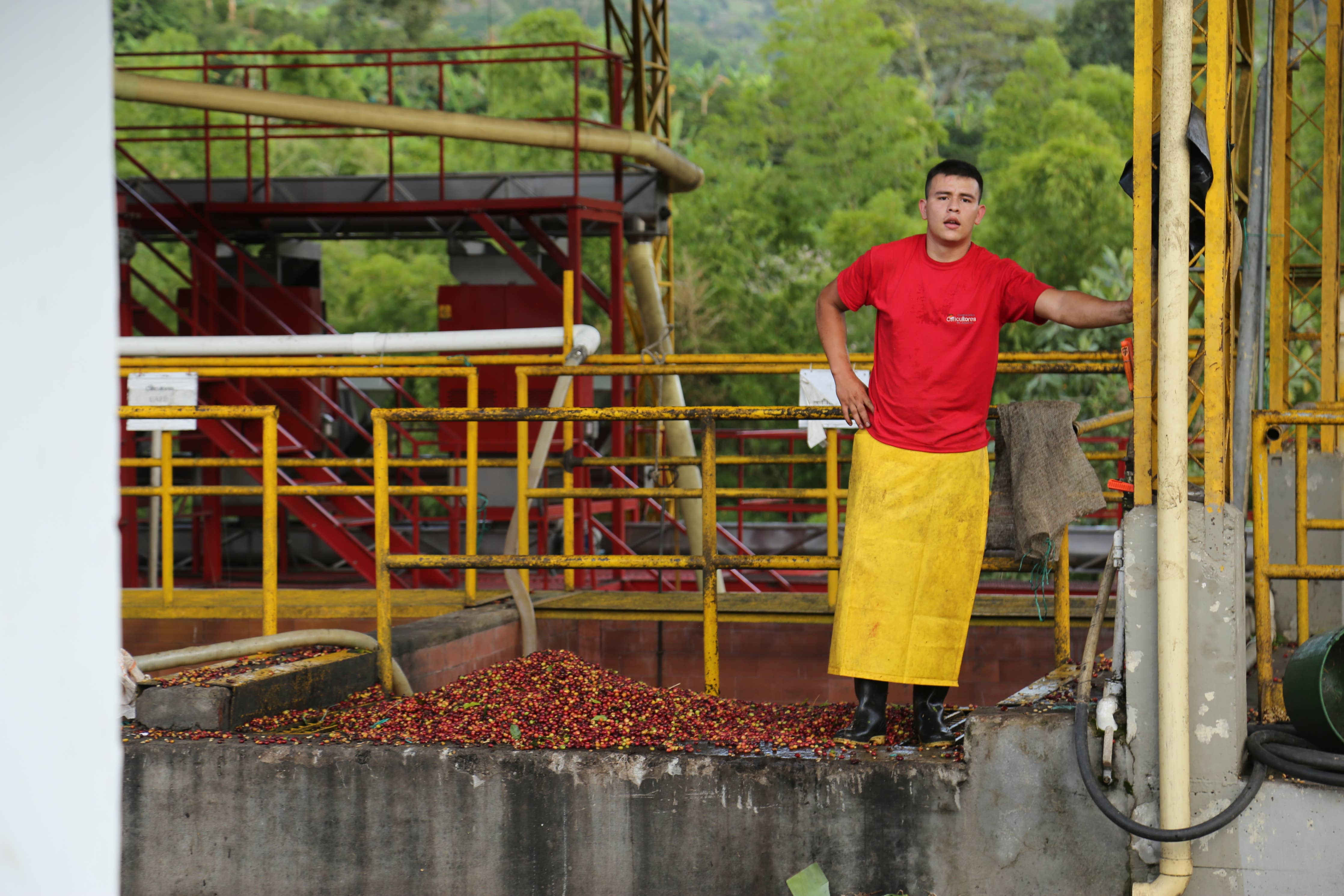 Finca Chapatà - 36 Hour Aerobic Natural Process Light Coffee