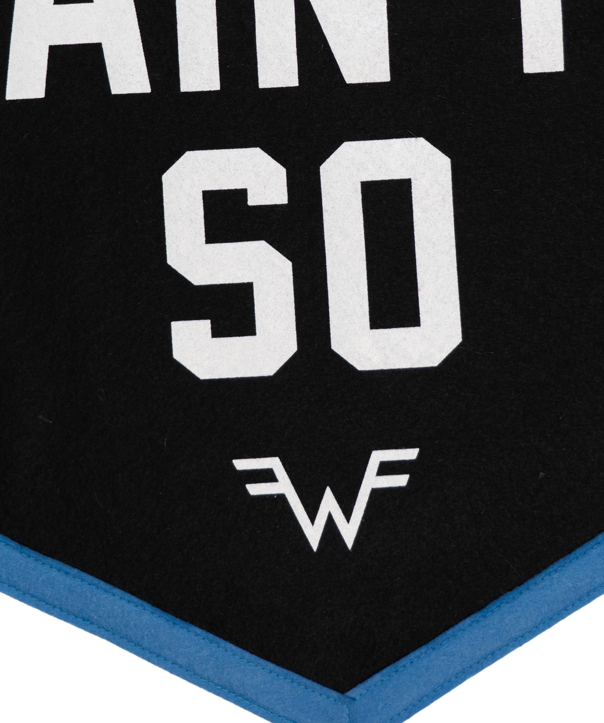 Say It Ain't So Camp Flag • Weezer x Oxford Pennant