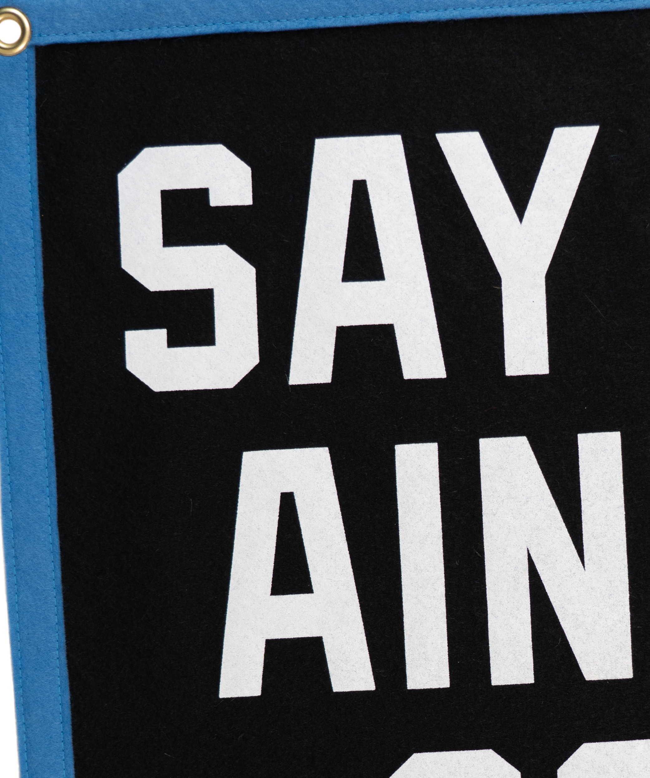 Say It Ain't So Camp Flag • Weezer x Oxford Pennant