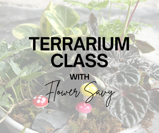 June 8th 2025 Terrarium Class