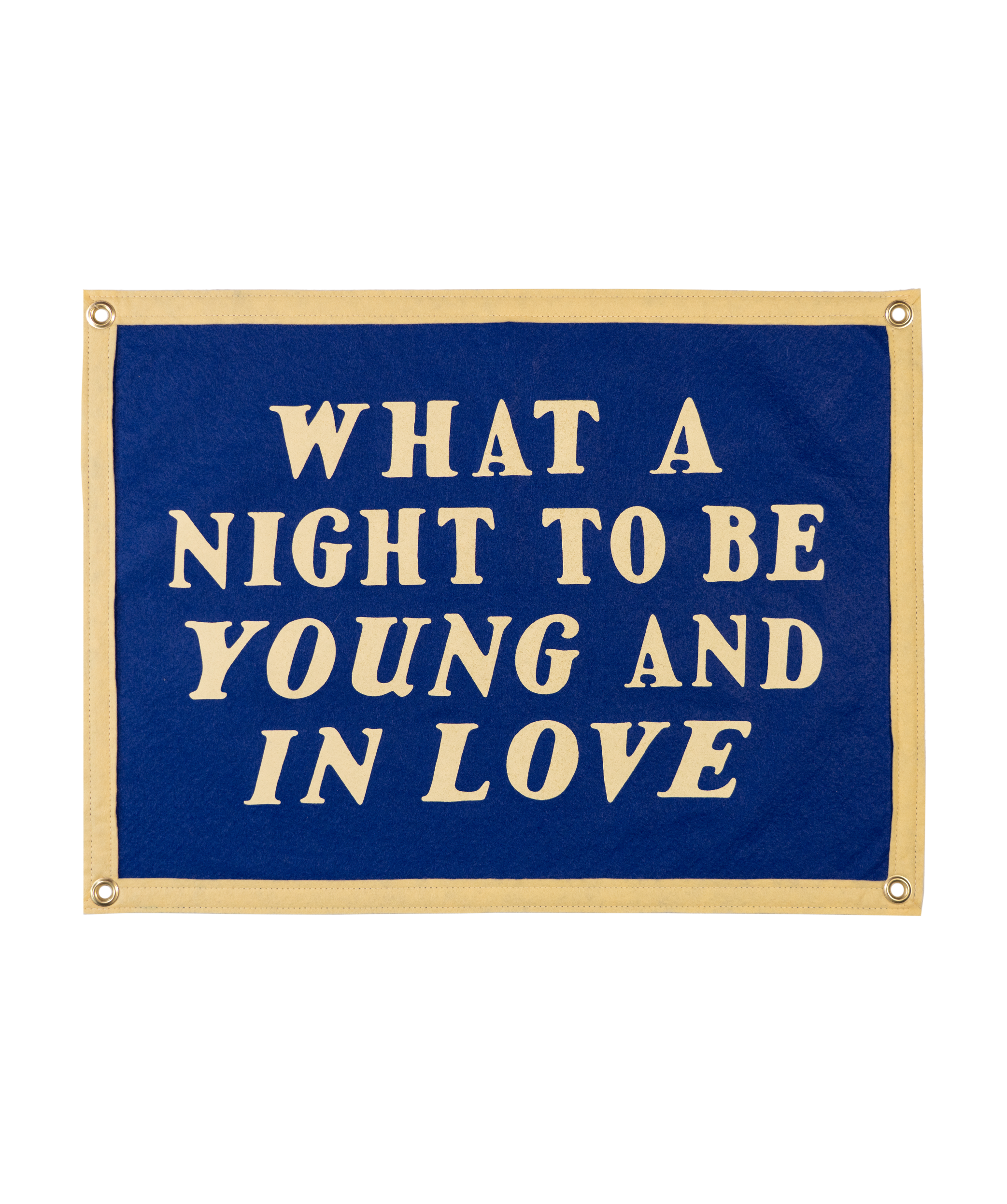 What A Night To Be Young and In Love Camp Flag