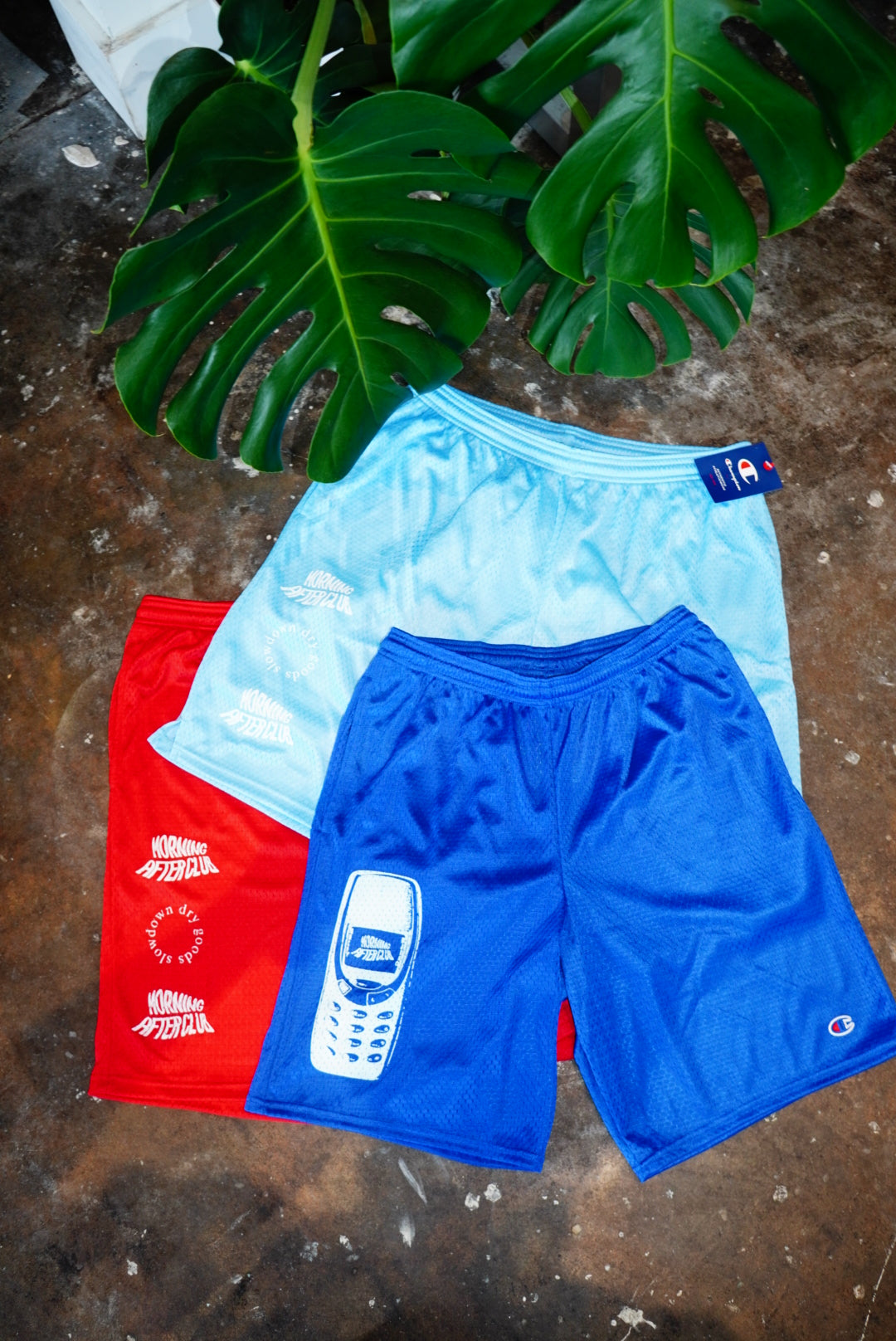 Morning After Champion Shorts