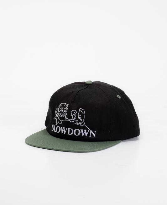 Slowdown Cat and Dog Hat