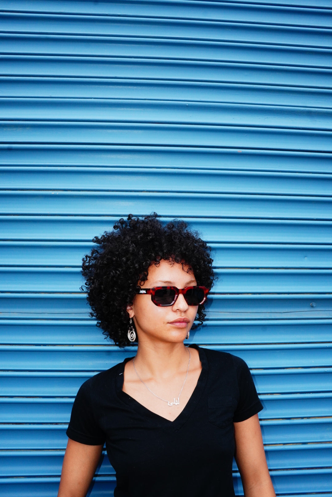 Tortoise Shell Slowdown v2 Sunglasses
