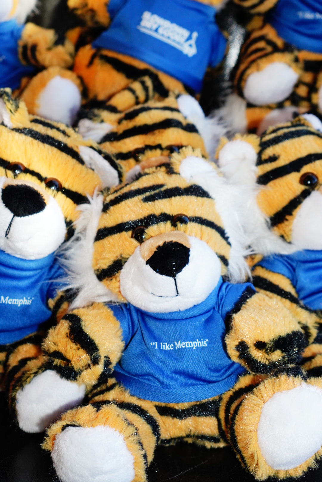 Slowdown Tiger Stuffed Animal