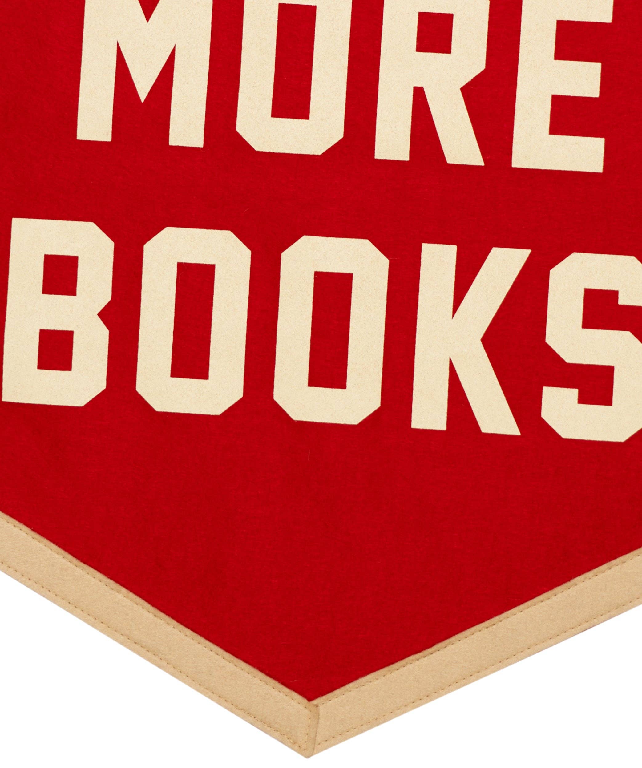 Read More Books Camp Flag