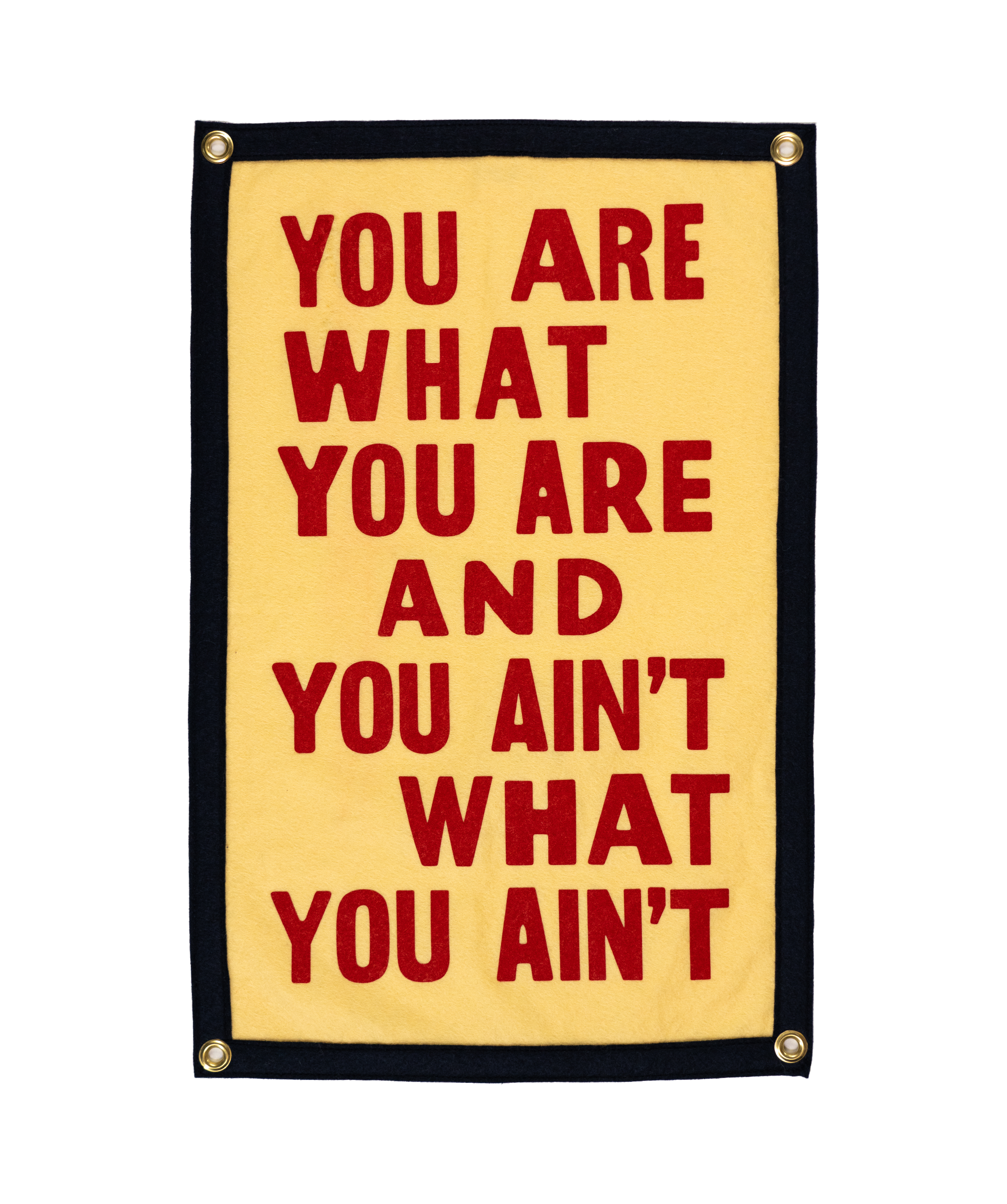 You Are What You Are Camp Flag • John Prine x Oxford Pennant