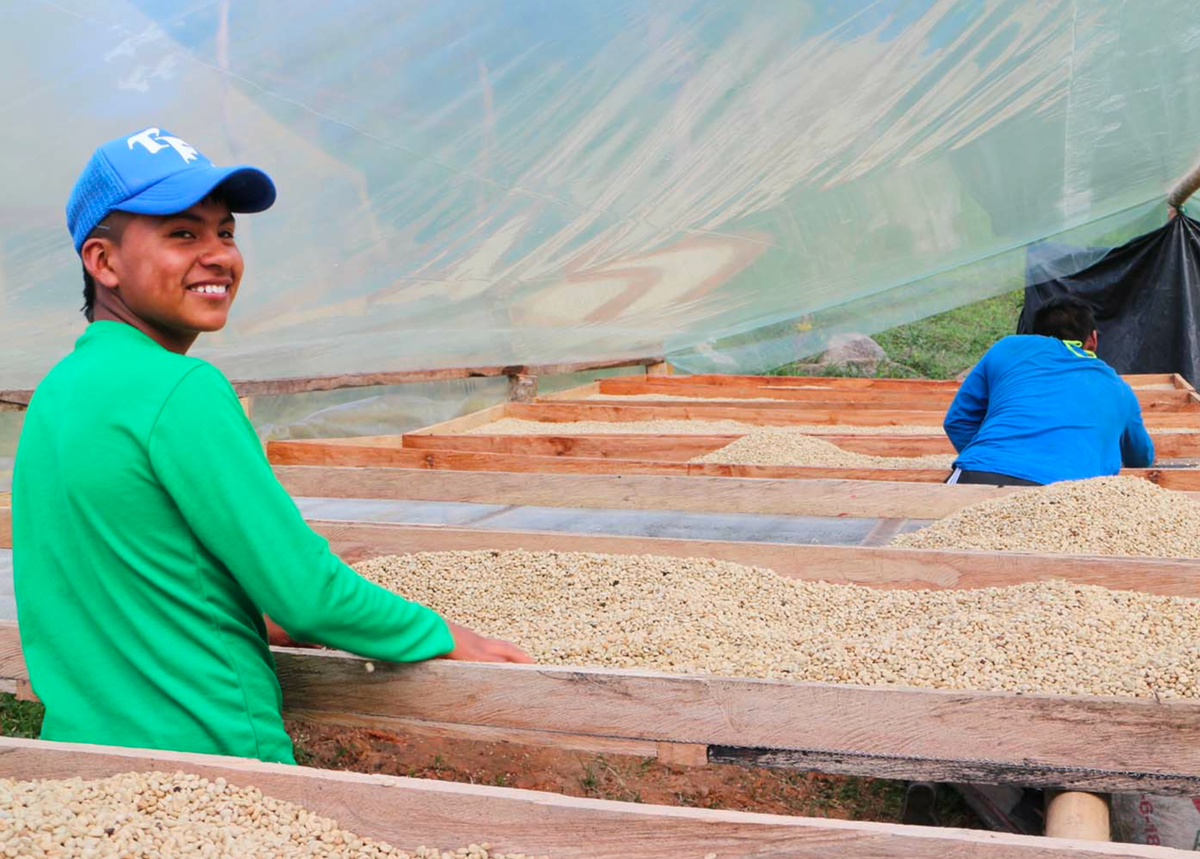 Raul Trujillo - Microlot Colombian Medium Roast Coffee